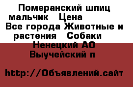 Померанский шпиц мальчик › Цена ­ 30 000 - Все города Животные и растения » Собаки   . Ненецкий АО,Выучейский п.